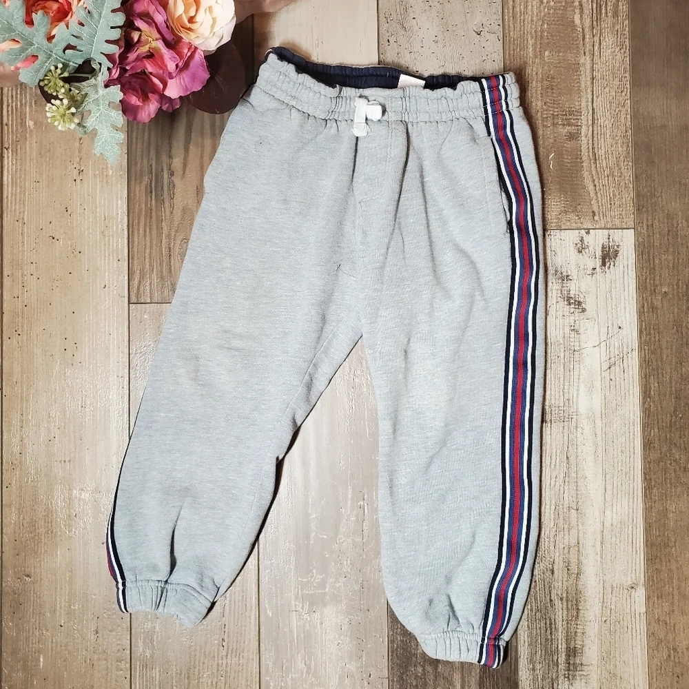 Gymboree Gray Fleece-lined Jogger Sweatpants Boys Size 4T